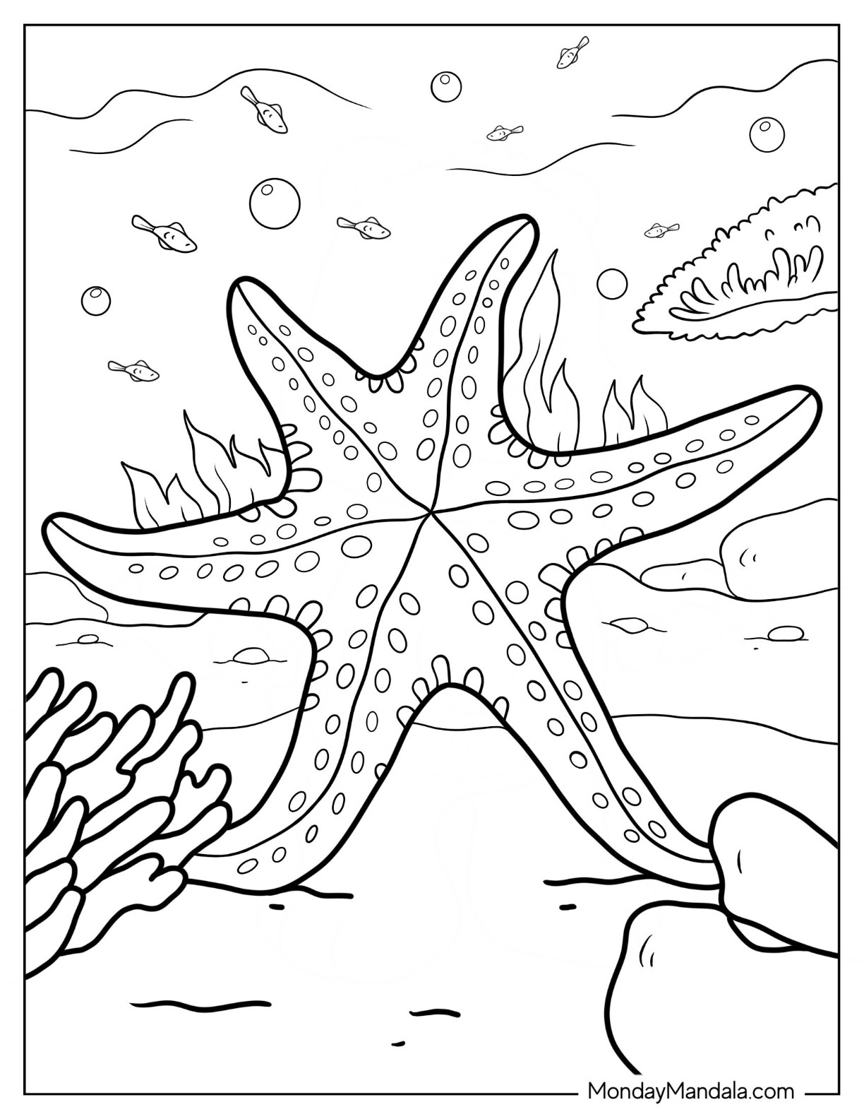 20 Starfish Coloring Pages (Free Pdf Printables) in Free Printable Colouring Pages Of A Starfish